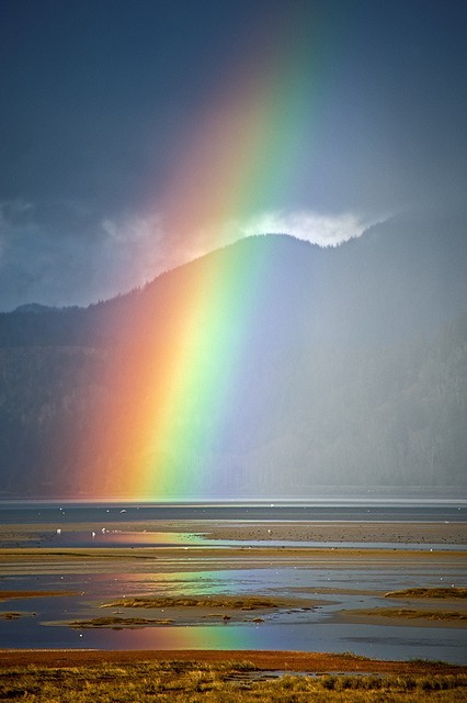 Photo:  rainbow 2